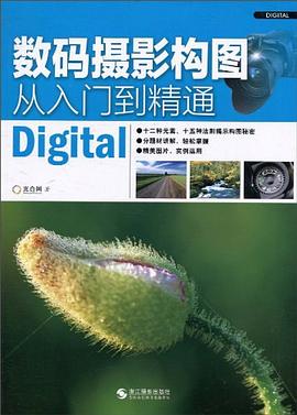 數(shù)碼攝影構(gòu)圖從入門到精通 數(shù)碼攝影構(gòu)圖從入門到精通
