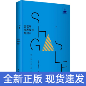 頁巖氣發(fā)展模式與啟示 頁巖氣發(fā)展模式與啟示