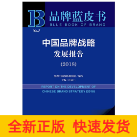 中國品牌戰(zhàn)略發(fā)展報告 中國品牌戰(zhàn)略發(fā)展報告