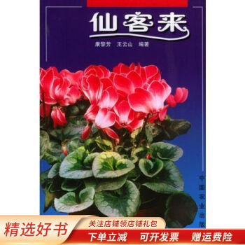 仙客來(lái) 仙客來(lái)