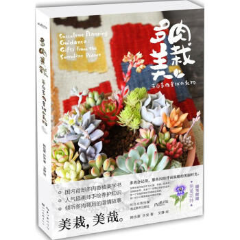 多肉美栽