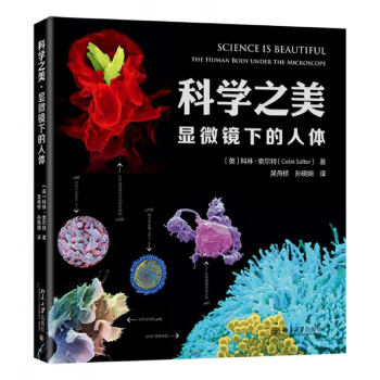 科學之美