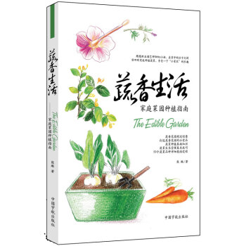 陽臺種菜