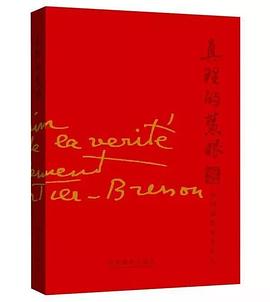 真理的慧眼