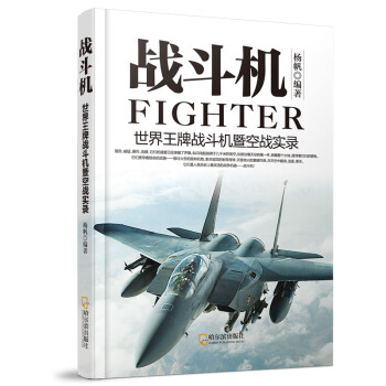{}戰(zhàn)斗機