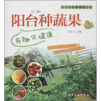 陽(yáng)臺(tái)種蔬果 陽(yáng)臺(tái)種蔬果