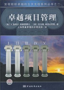 卓越項目管理