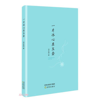 一片冰心在玉壺