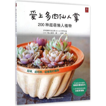 愛上多肉仙人掌
