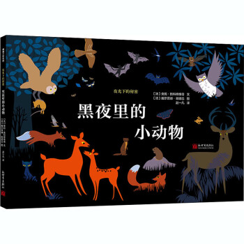黑夜里的小動物