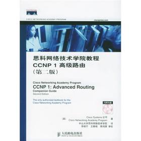 思科網絡技術學院教程CCNP1高級路由（第2版）