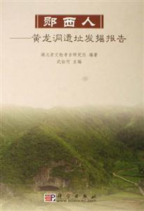 鄖西人黃龍洞遺址發掘報告