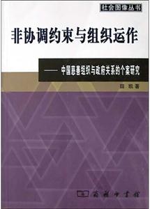 非協調約束與組織動作―中國慈善組織與政府關系的個案研究