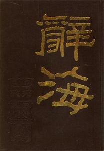 《辭?！纷x后感300字：辭海無(wú)涯，知識(shí)之旅的啟航，探索智慧深淵的奇妙之旅！