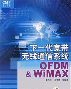 下一代寬帶無(wú)線通信系統(tǒng)OFDM與WiMAX 下一代寬帶無(wú)線通信系統(tǒng)OFDM與WiMAX