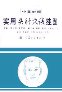 實用頭針穴線掛圖 實用頭針穴線掛圖