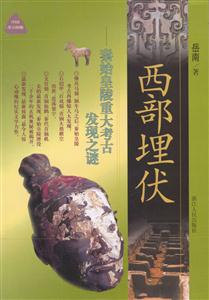 《西部埋伏》讀后感：揭秘埋伏背后的5大人物命運，你的生活也暗藏玄機？
