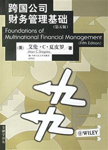 跨國公司財務(wù)管理基礎(chǔ)