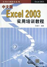 中文版Excel2003實(shí)用培訓(xùn)教程