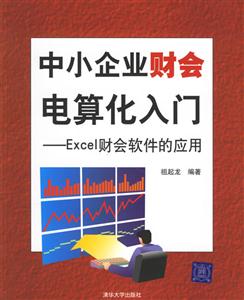 中小企業(yè)財(cái)會(huì)電算化入門:Excel財(cái)會(huì)軟件的應(yīng)用