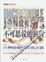 不可思議的旅程六種動(dòng)物的遷徒之路 不可思議的旅程六種動(dòng)物的遷徒之路