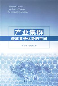 產(chǎn)業(yè)集群獲取競爭優(yōu)勢的空間