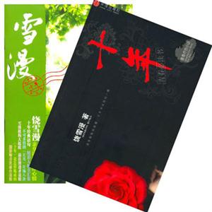 《十年青春療傷小說》讀后感400字：十年青春，療傷之旅，人物與情感的糾葛，一場觸動心靈的懸念之旅！