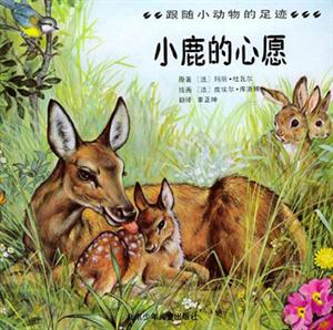 跟隨小動物的足跡小鹿的心愿