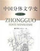 中國分體文學史小說卷