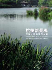 杭州新景觀