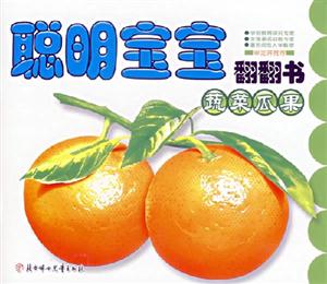 聰明寶寶翻翻書蔬菜瓜果