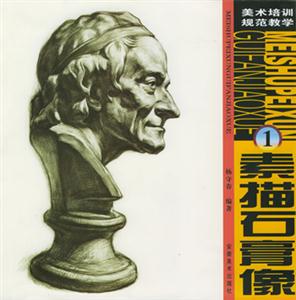 素描石膏像美術(shù)培訓規(guī)范教學 素描石膏像美術(shù)培訓規(guī)范教學