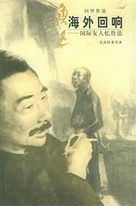 《海外回響》讀后感400字：海外的回響，人物的跨越與情感的碰撞，一場關于追尋與挑戰的深度揭秘！