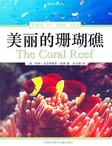 美麗的姍瑚礁