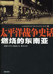 《燃燒的東南亞》讀后感400字：戰(zhàn)火中的情感糾葛，人物命運的沉浮，一場關(guān)于熱情與沖突的深度探索！