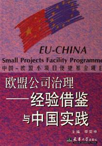 經驗借鑒與中國實踐歐盟公司治理
