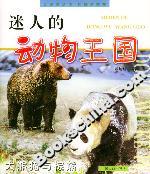 迷人的動物王國大熊貓與棕熊