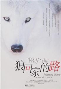 《狼回家的路》讀后感：狼的回家路，也是你內心的成長之路！