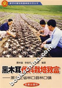 黑木耳代料栽培致富:黑龍江省林口縣林口鎮(zhèn)